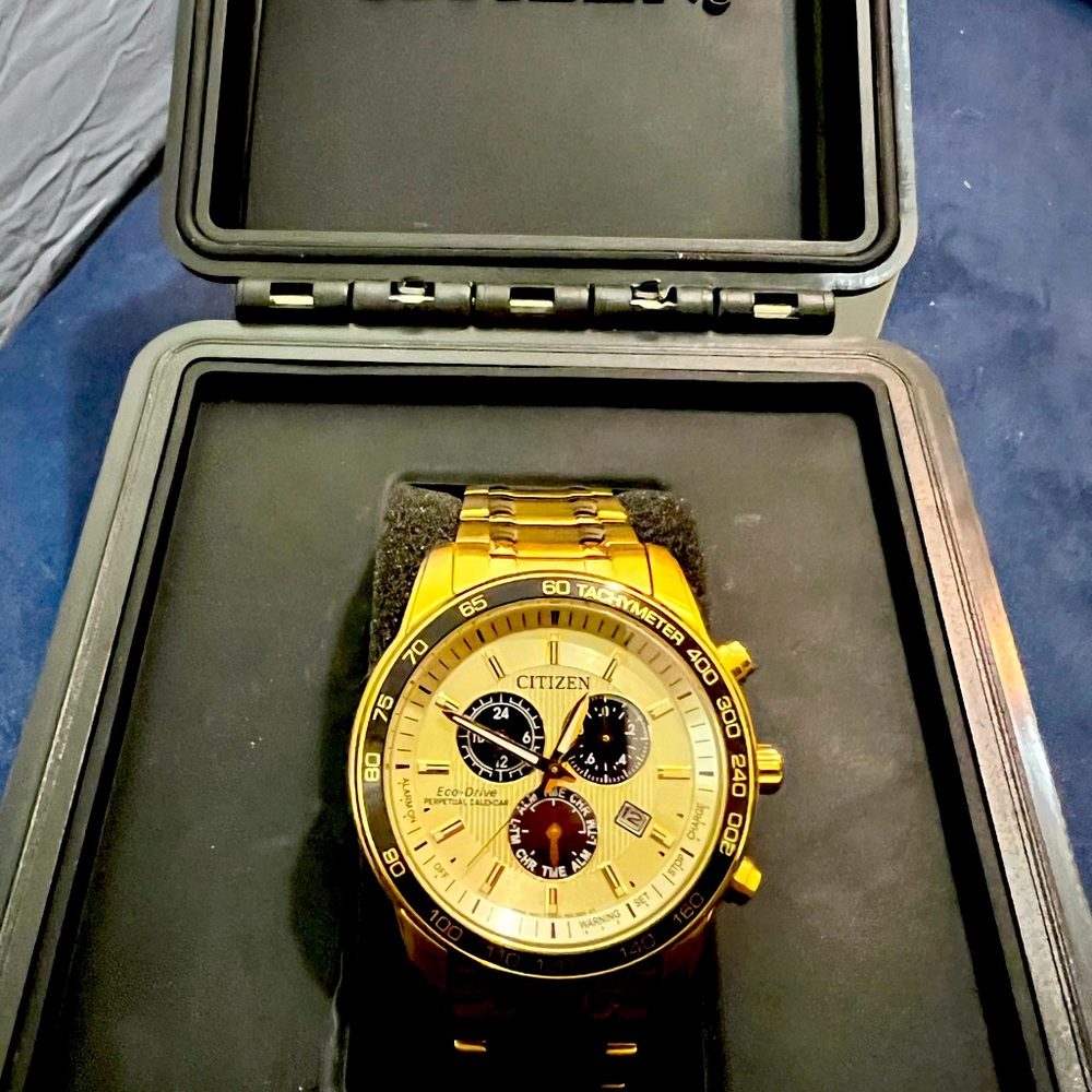 Citizen E20 Mens Watch Gold